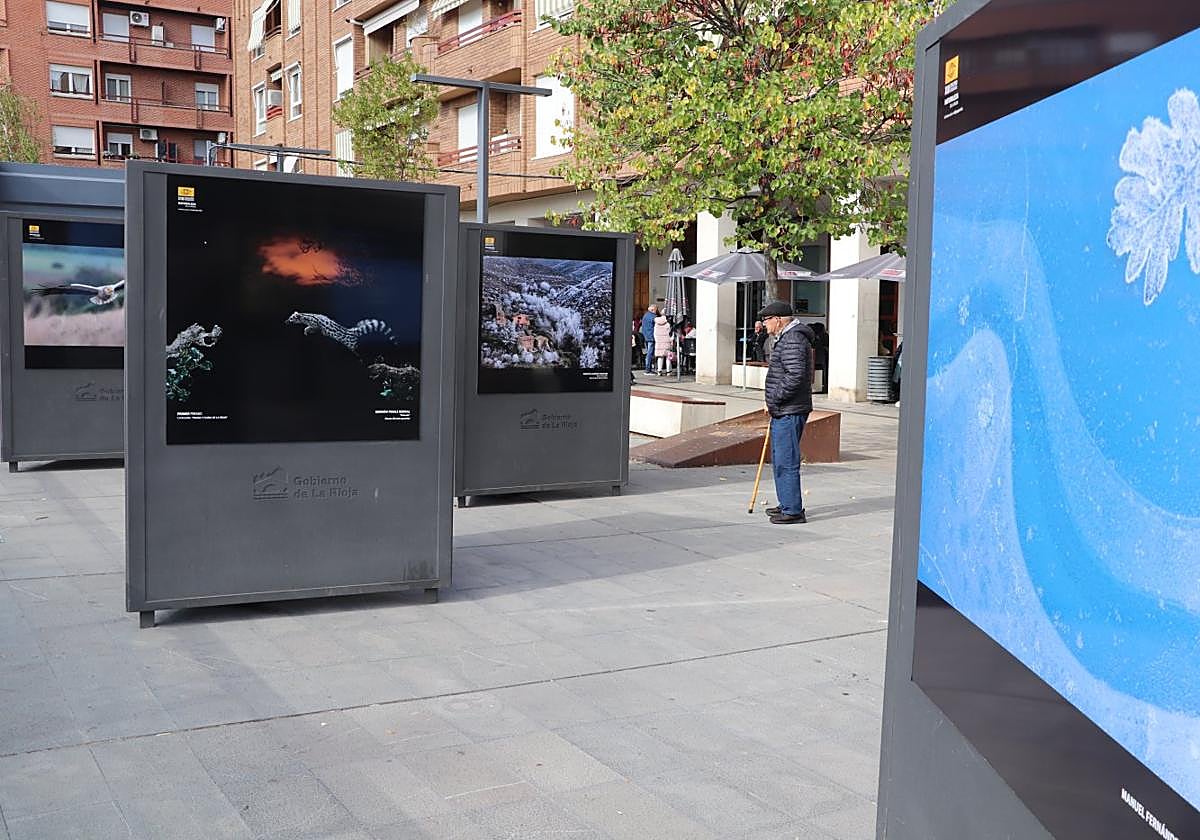 La exposición de Naturaleza de La Rioja, en Arnedo