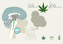 Las claves sobre el uso terapéutico del cannabis
