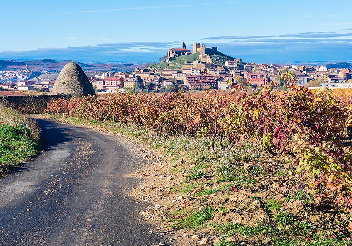 La UR organiza una ruta por San Vicente de la Sonsierra y de enoturismo familiar en Fuenmayor