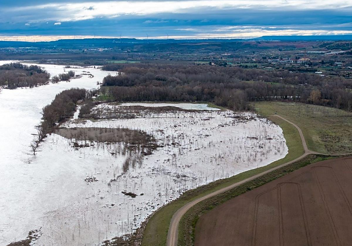Imagen del funcionamiento de la zona de expansión dada al Ebro durante una reciente avenida.