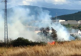 Sofocado un incendio en Pradoviejo