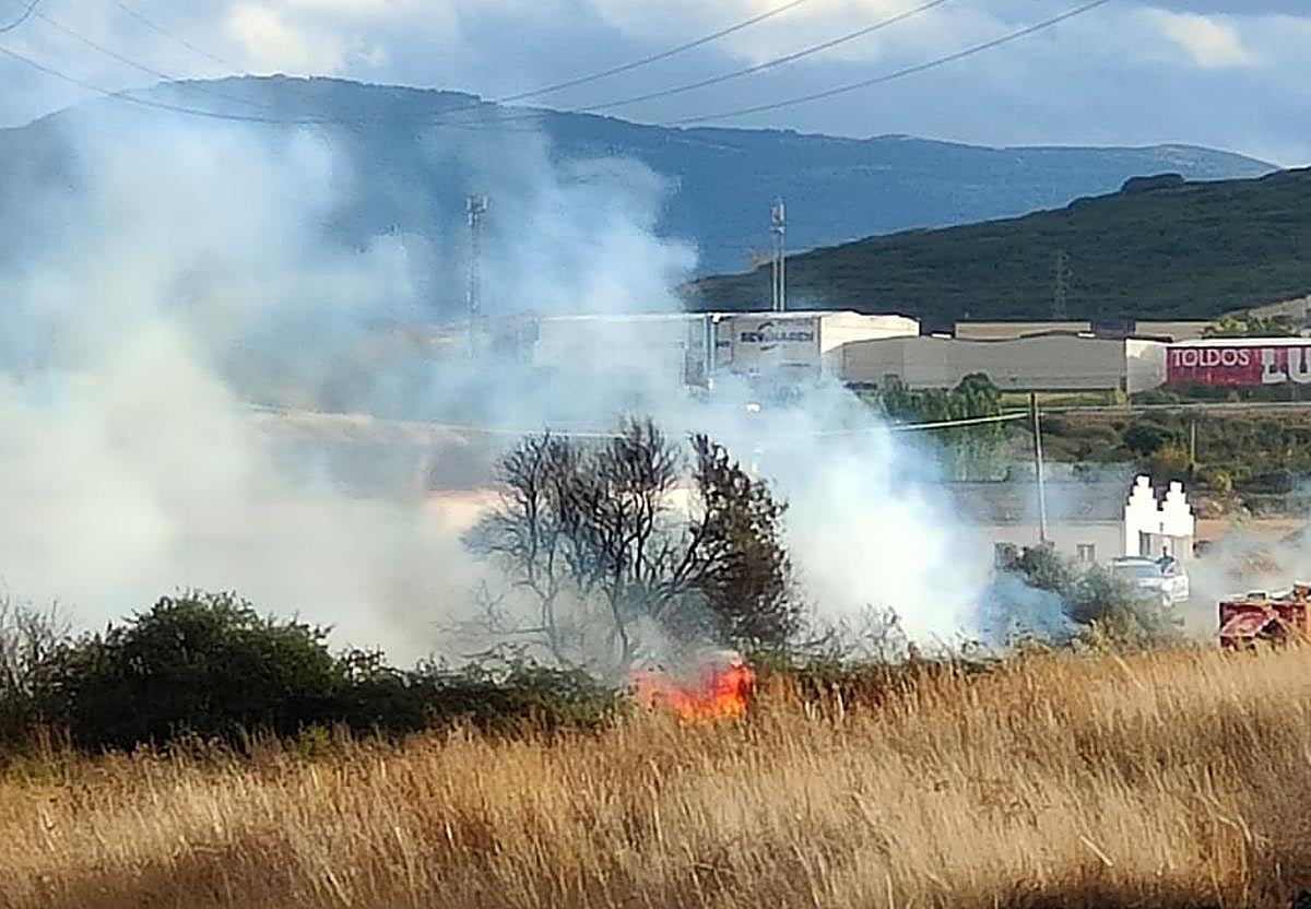 Sofocado un incendio en Pradoviejo