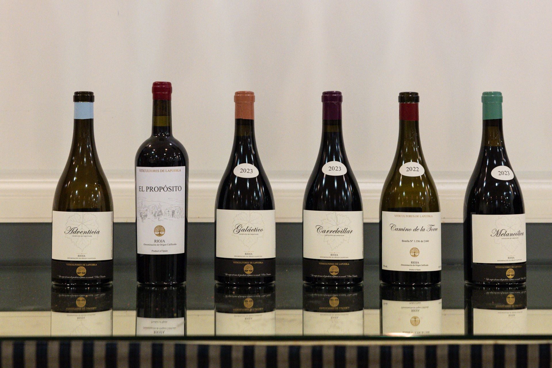 Las imágenes de la cata de Viticultores de Lapuebla