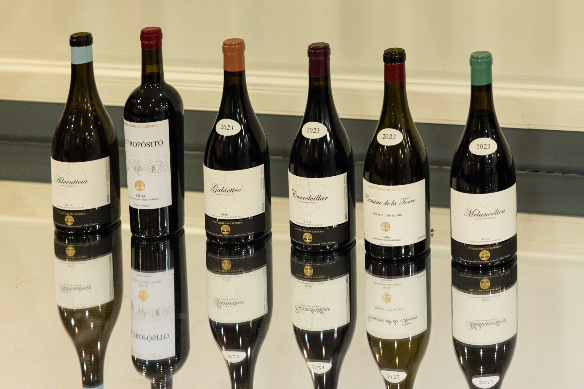 Las imágenes de la cata de Viticultores de Lapuebla