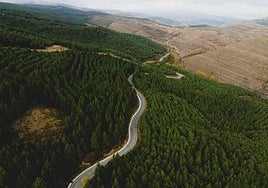 Carretera de Enciso.