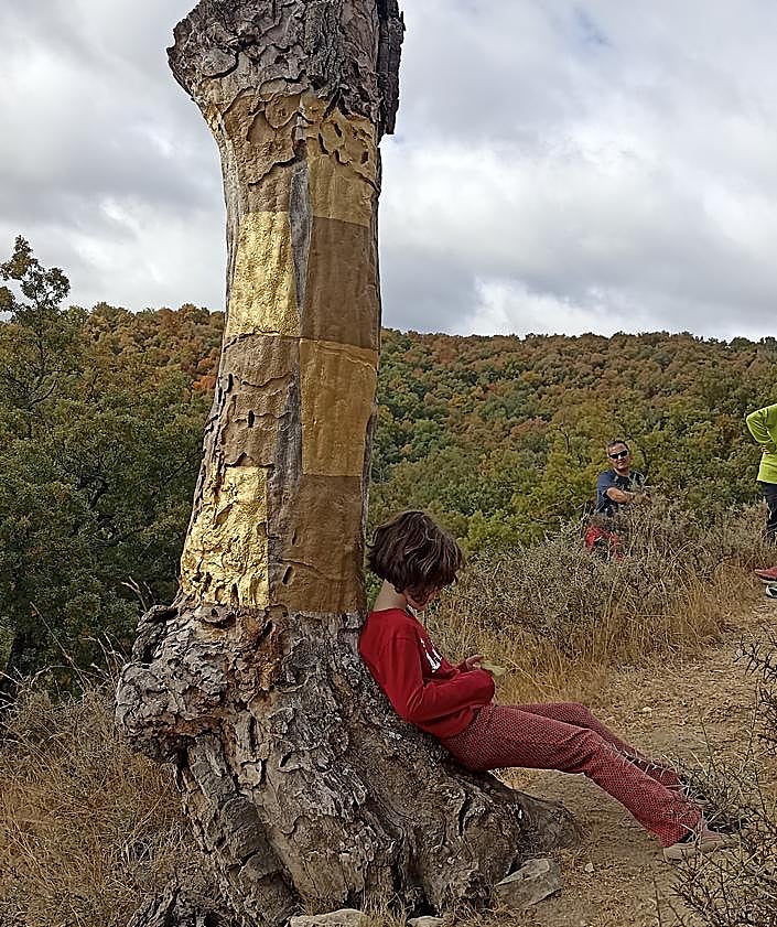Imagen secundaria 2 - San Román amplía su museo al aire libre