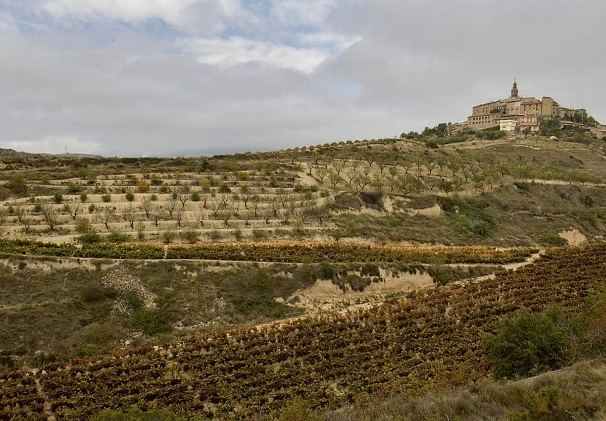 Viñedos y, al fondo, Labraza, pedanía de Oyón, en Rioja Alavesa.