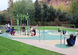 Las clases fueron de iniciación a la calistenia hasta avanzado.