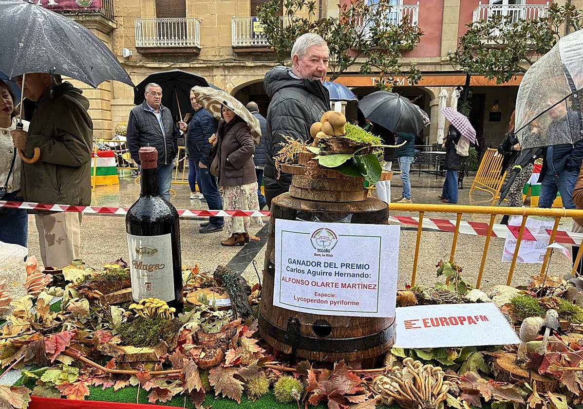 Las setas premiadas protagonistas de la muestra en la plaza de la Paz.