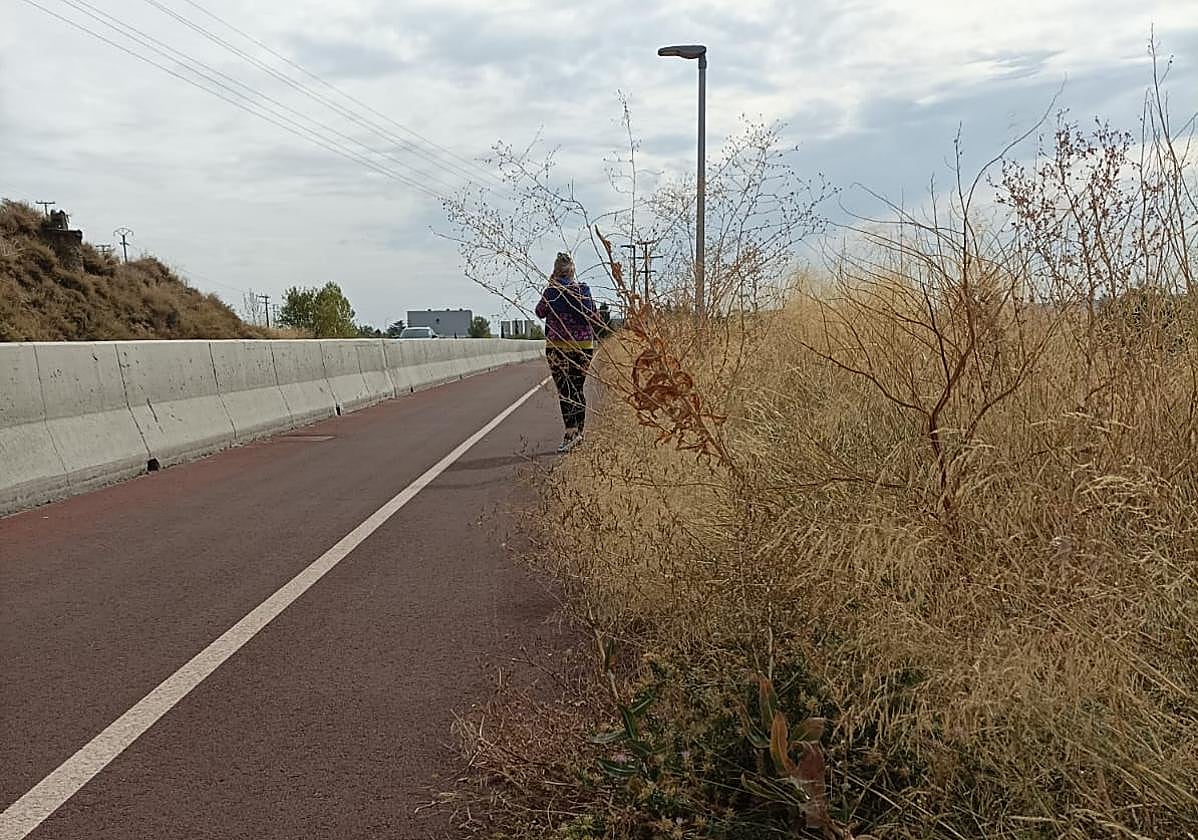 El carril ciclopeatonal cercano al polígono industrial de Logroño, hoy en La Guindilla.