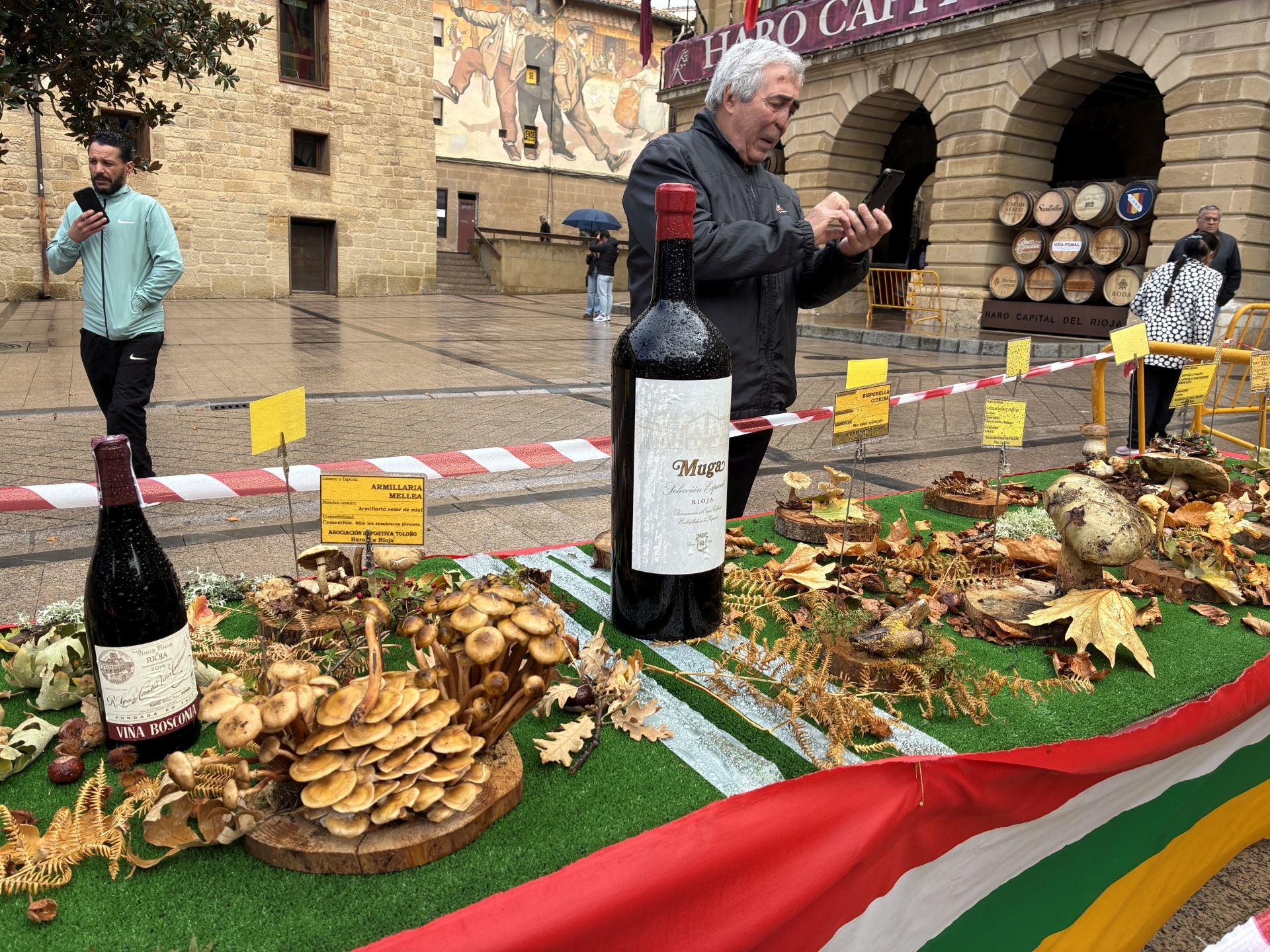 Las XXXI Jornadas Micológicas Jarreras, en imágenes