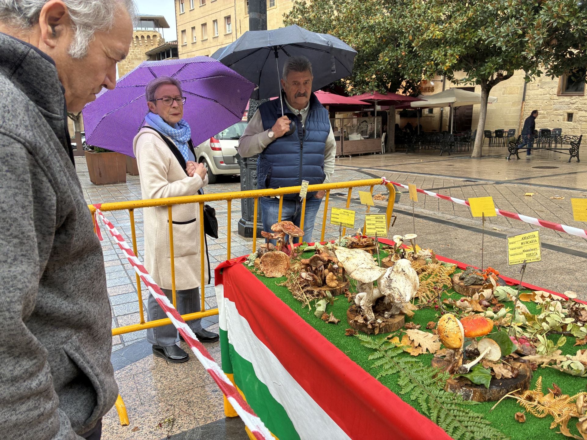 Las XXXI Jornadas Micológicas Jarreras, en imágenes