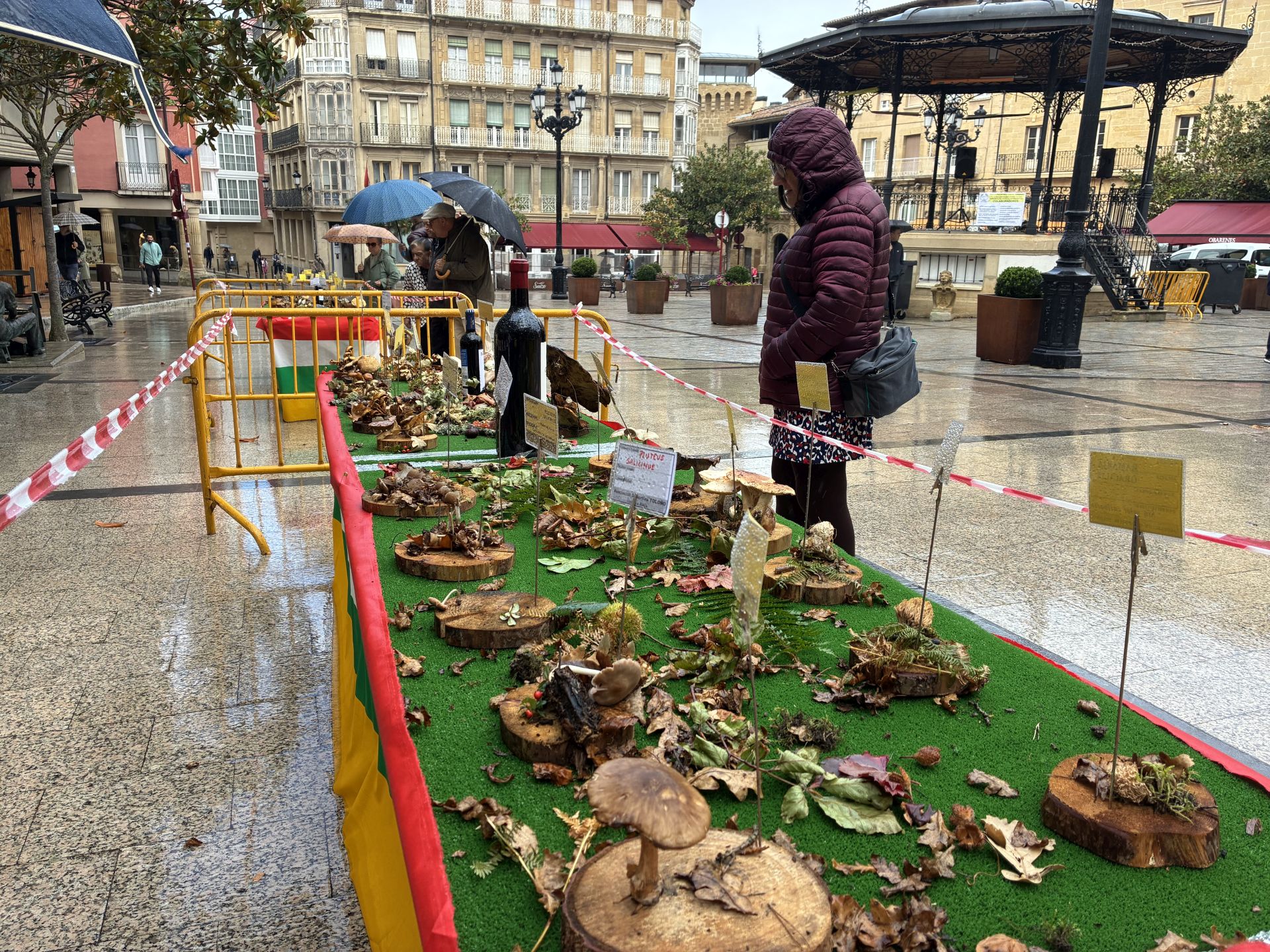 Las XXXI Jornadas Micológicas Jarreras, en imágenes