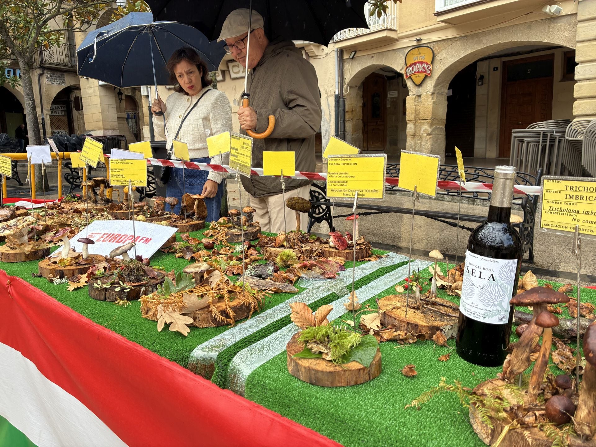 Las XXXI Jornadas Micológicas Jarreras, en imágenes