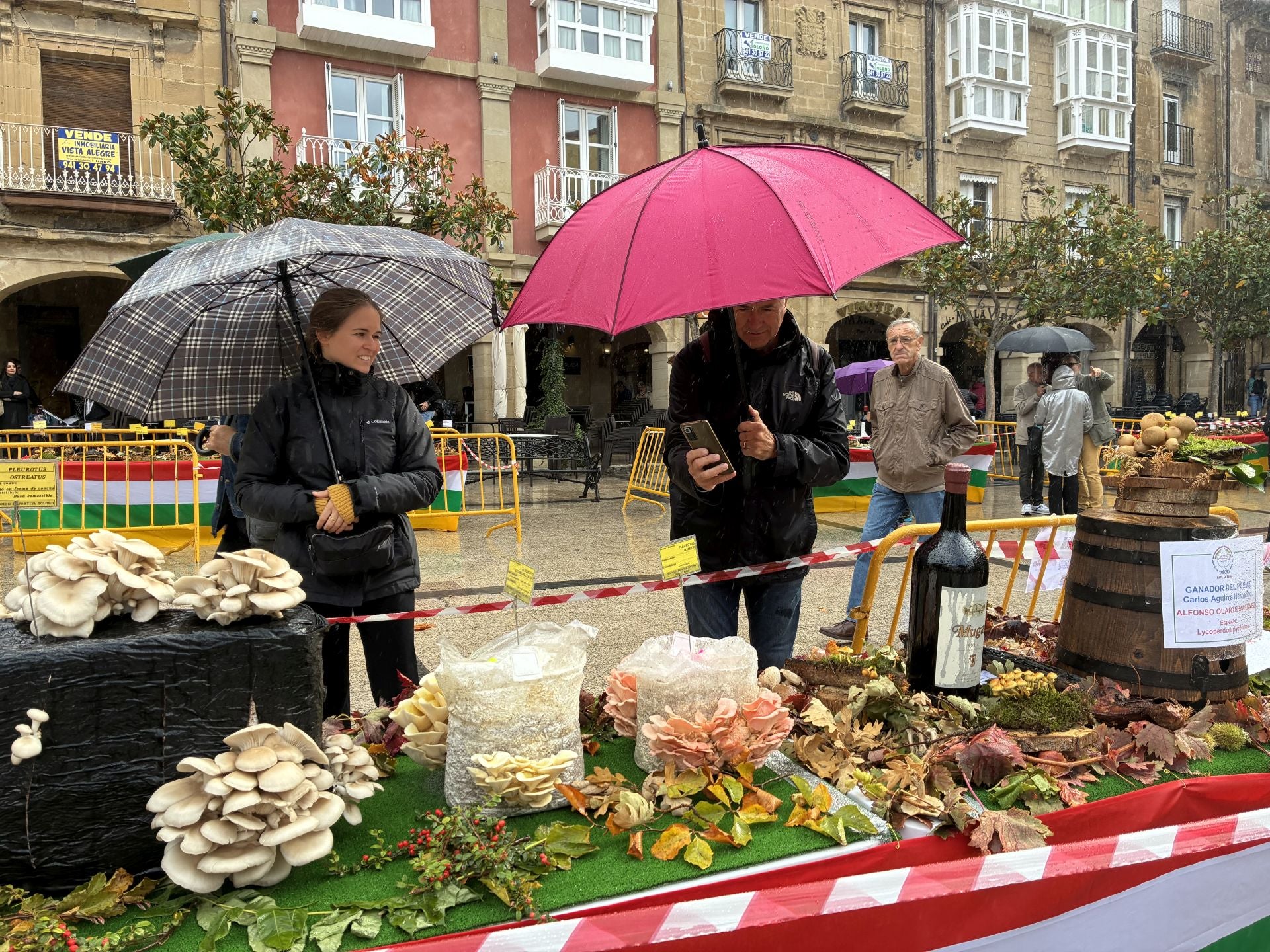 Las XXXI Jornadas Micológicas Jarreras, en imágenes