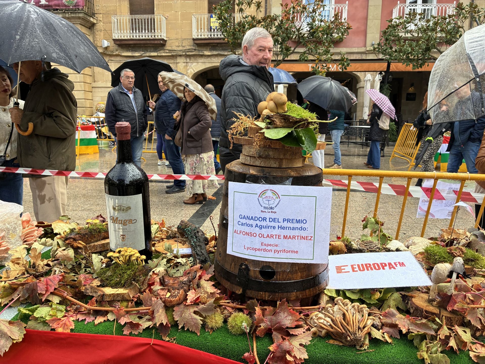 Las XXXI Jornadas Micológicas Jarreras, en imágenes