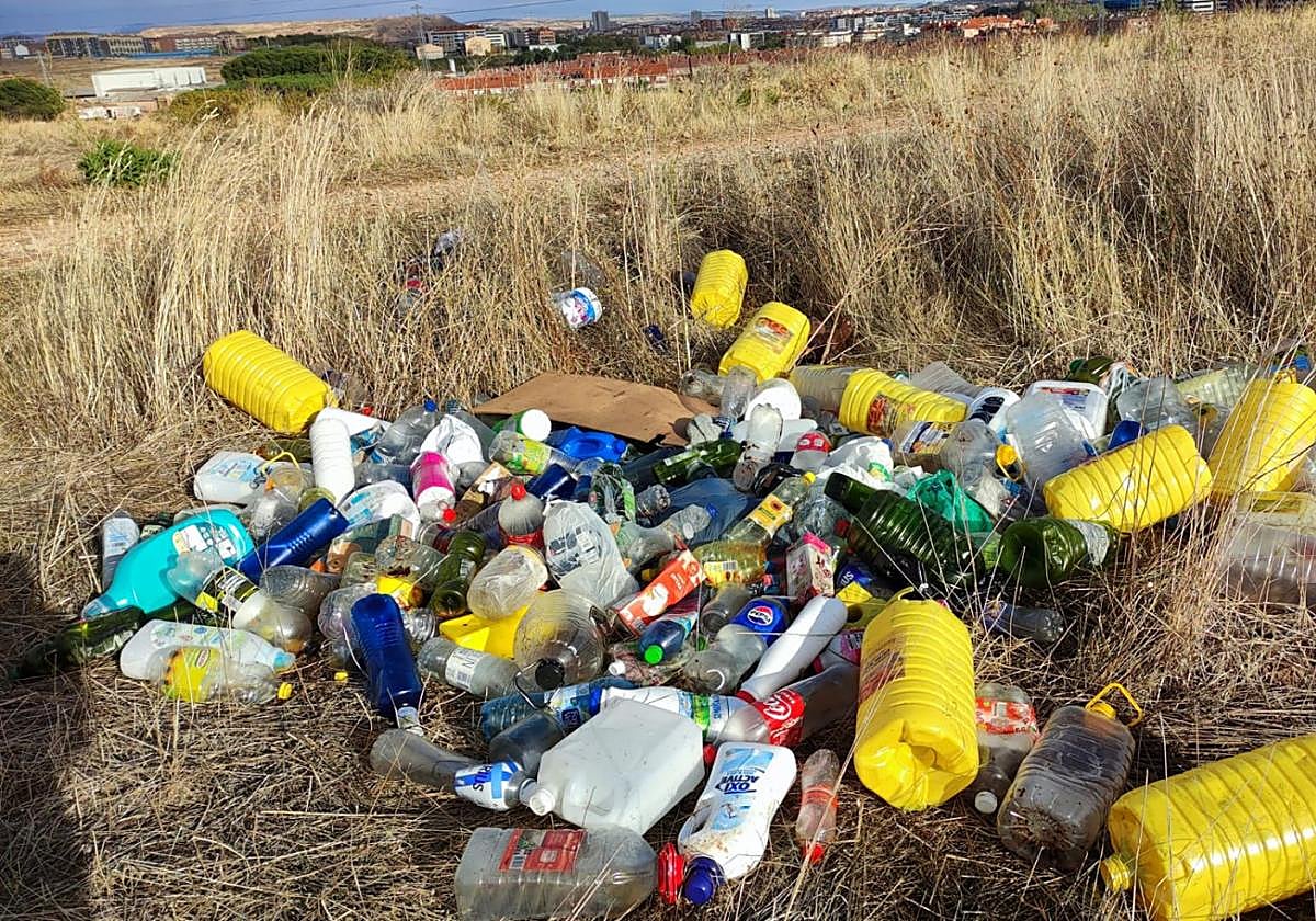Las ayudas a los viticultores, en el Teléfono del Lector de hoy