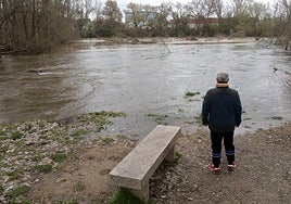 El Ebro a su paso por Logroño en una crecida reciente.
