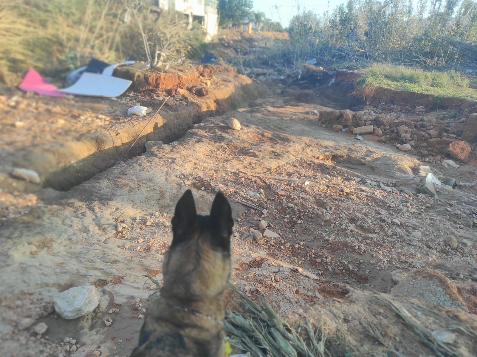 La colaboración de los riojanos en Valencia