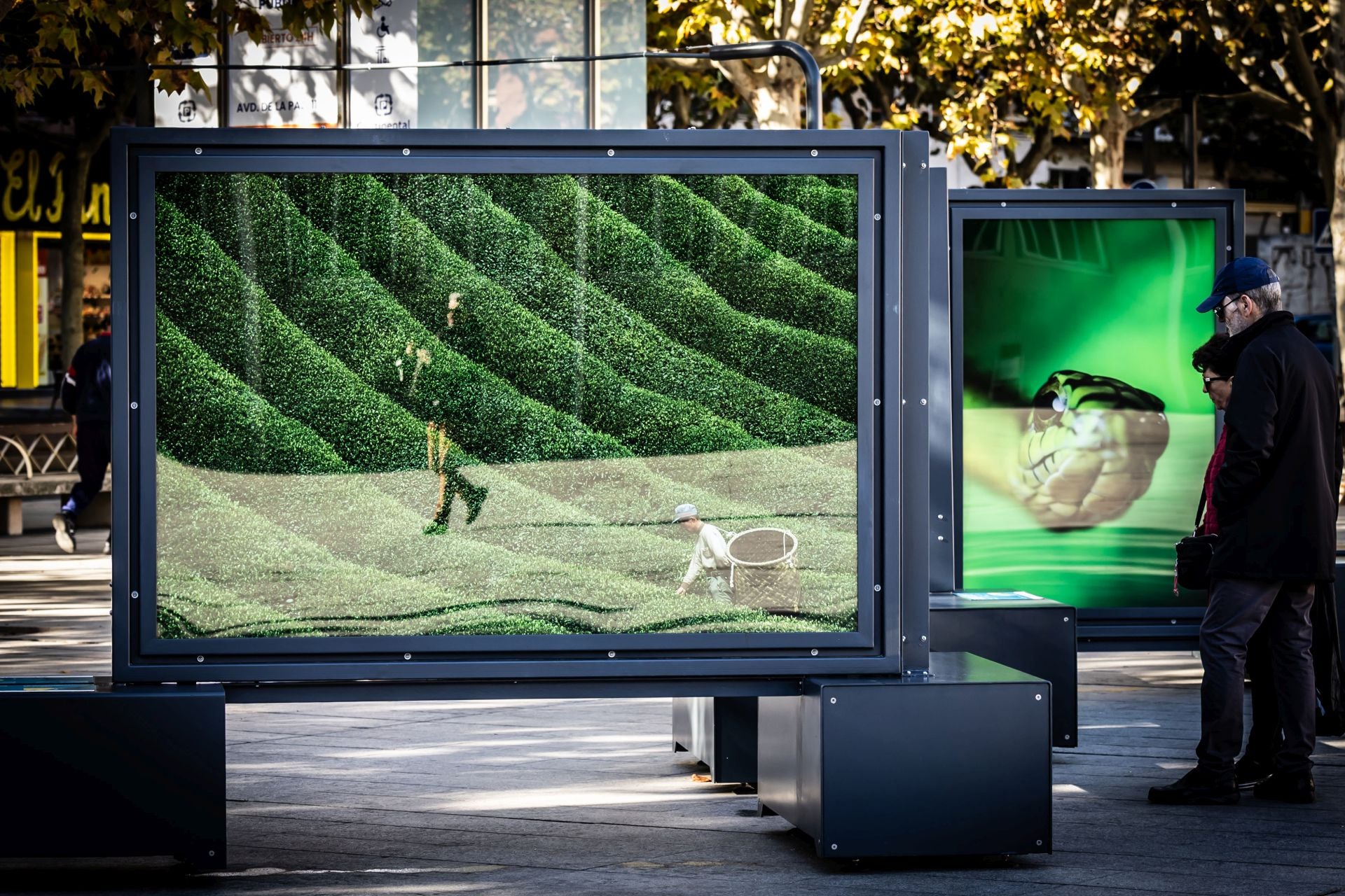 La exposición &#039;Colores del mundo&#039;, por las calles de Logroño