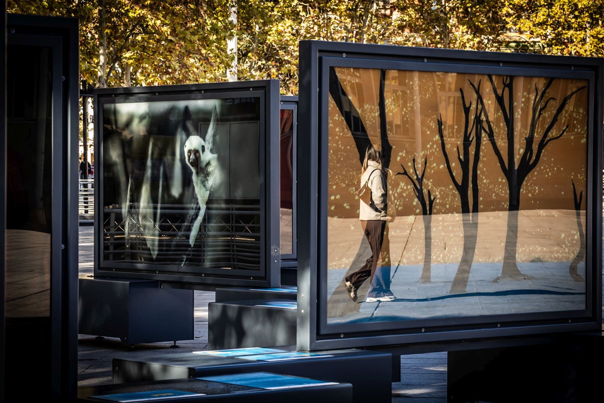 La exposición &#039;Colores del mundo&#039;, por las calles de Logroño
