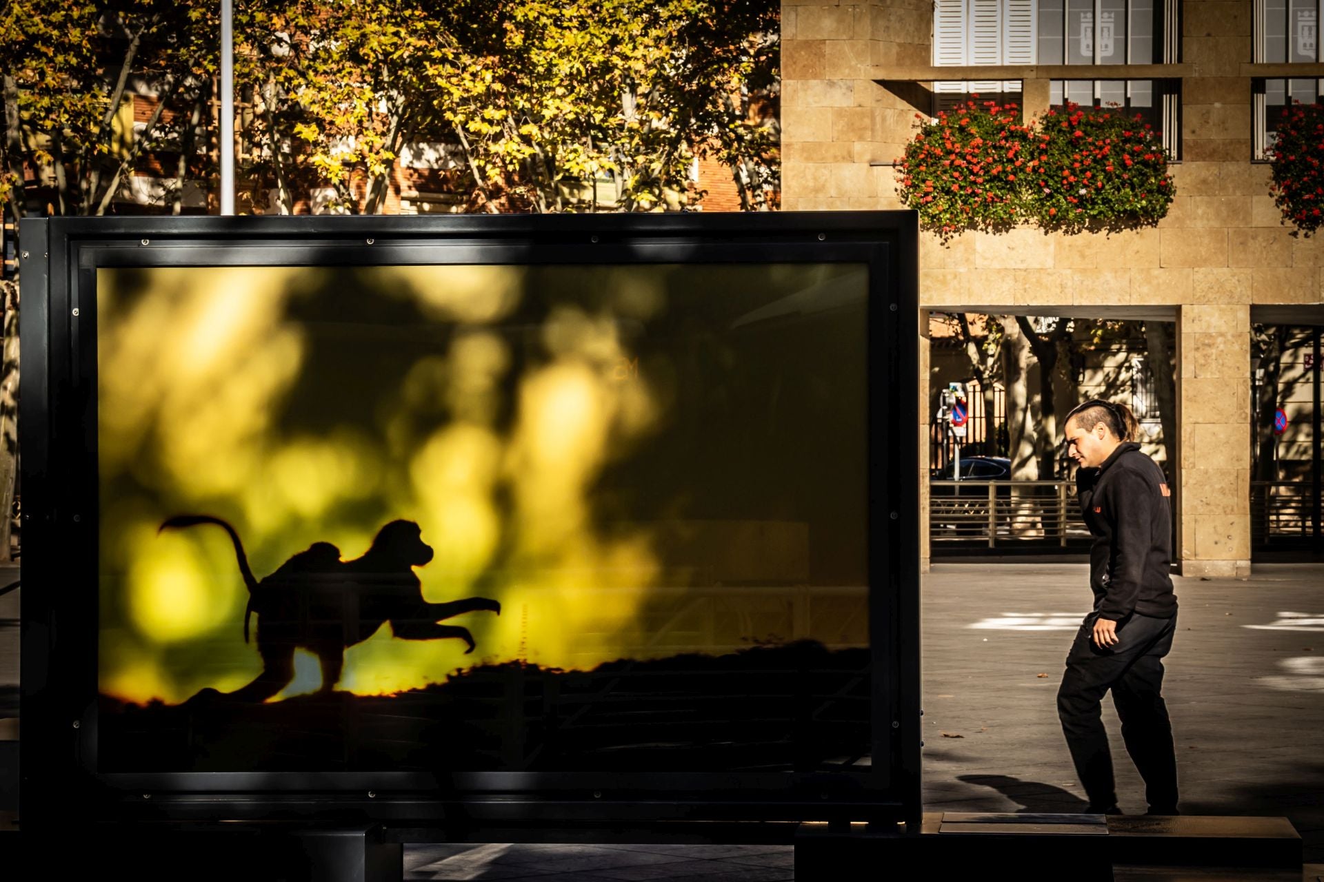 La exposición &#039;Colores del mundo&#039;, por las calles de Logroño