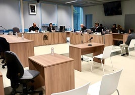 Octava sesión de juicio por el crimen de Los Lirios