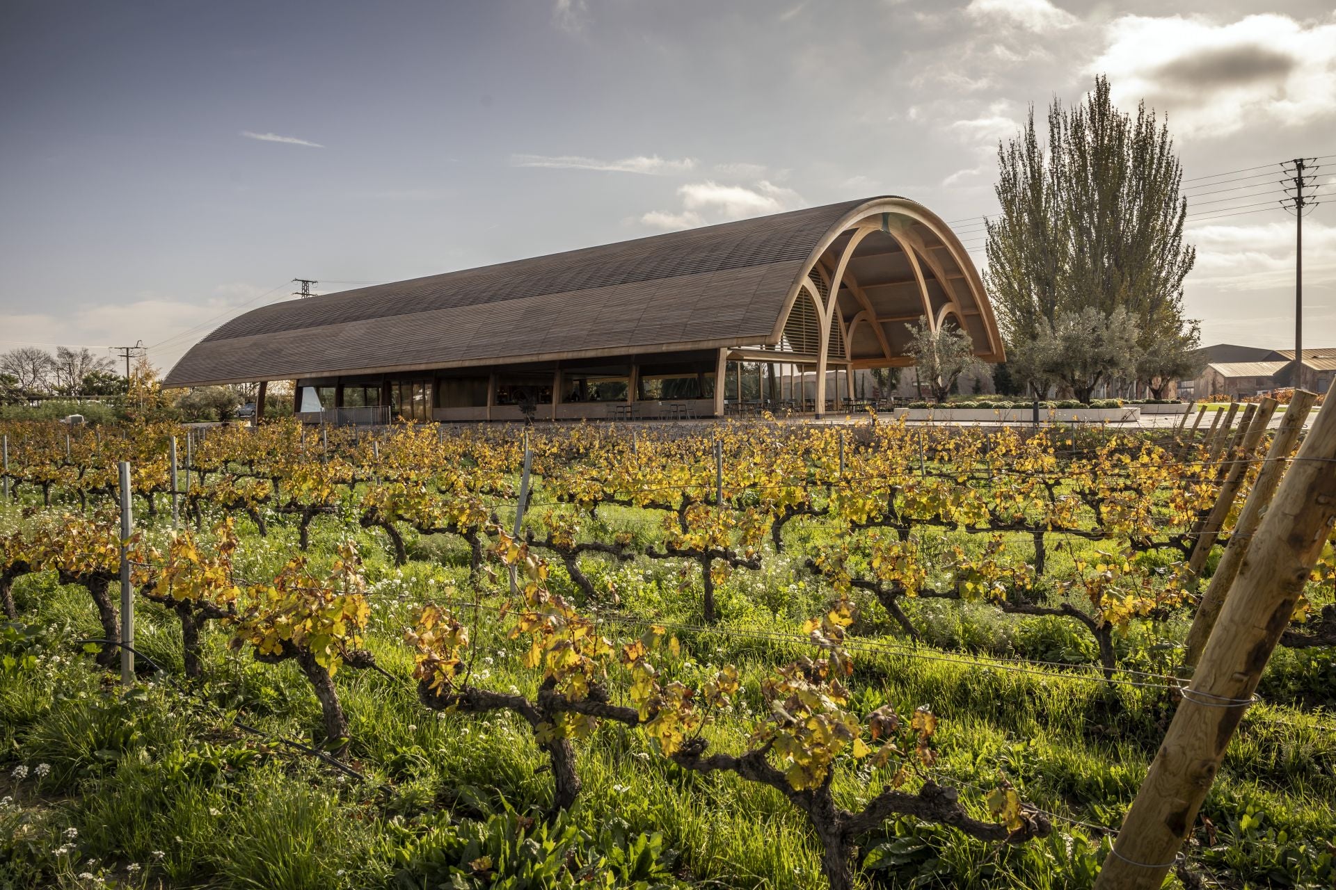 El Legado de Bodegas Faustino, en Oyón, la última gran inversión de la familia Martínez Zabala