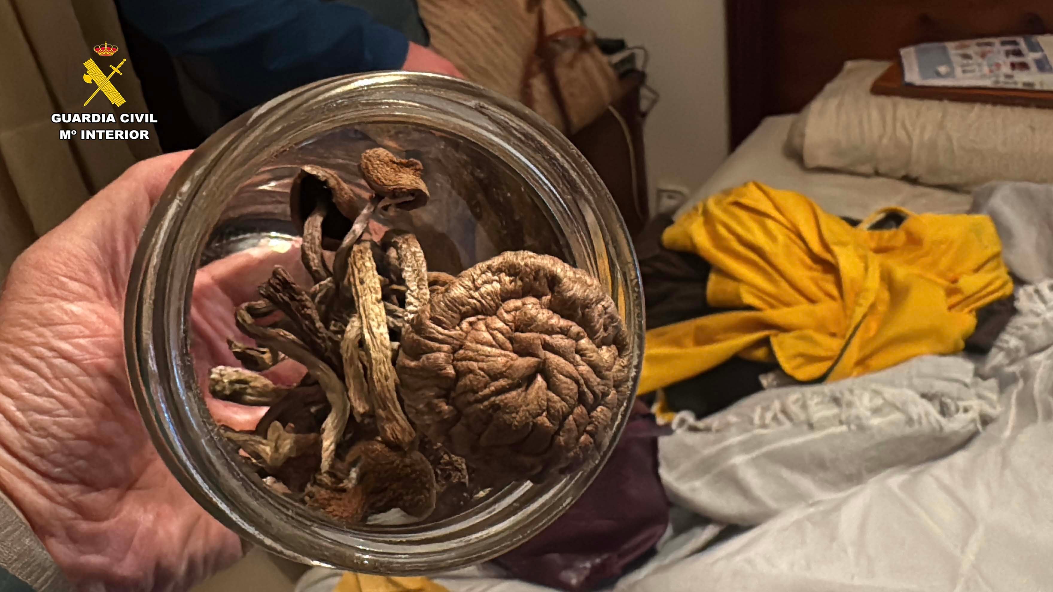 Desmantelada una plantación de marihuana en Arrúbal