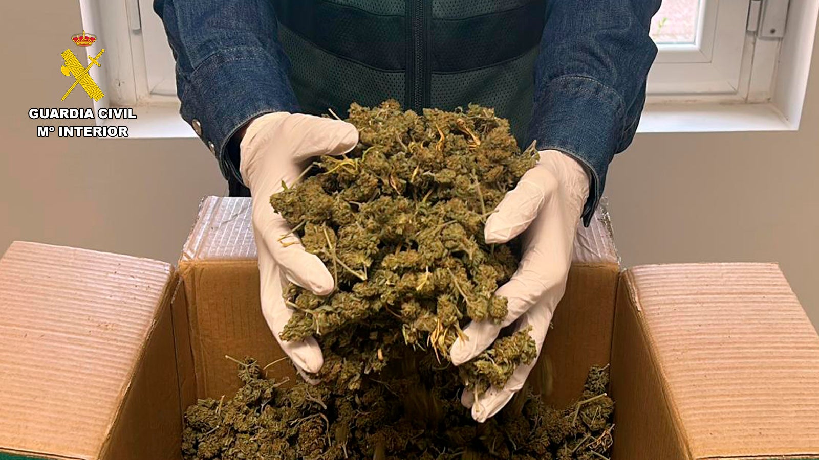 Desmantelada una plantación de marihuana en Arrúbal