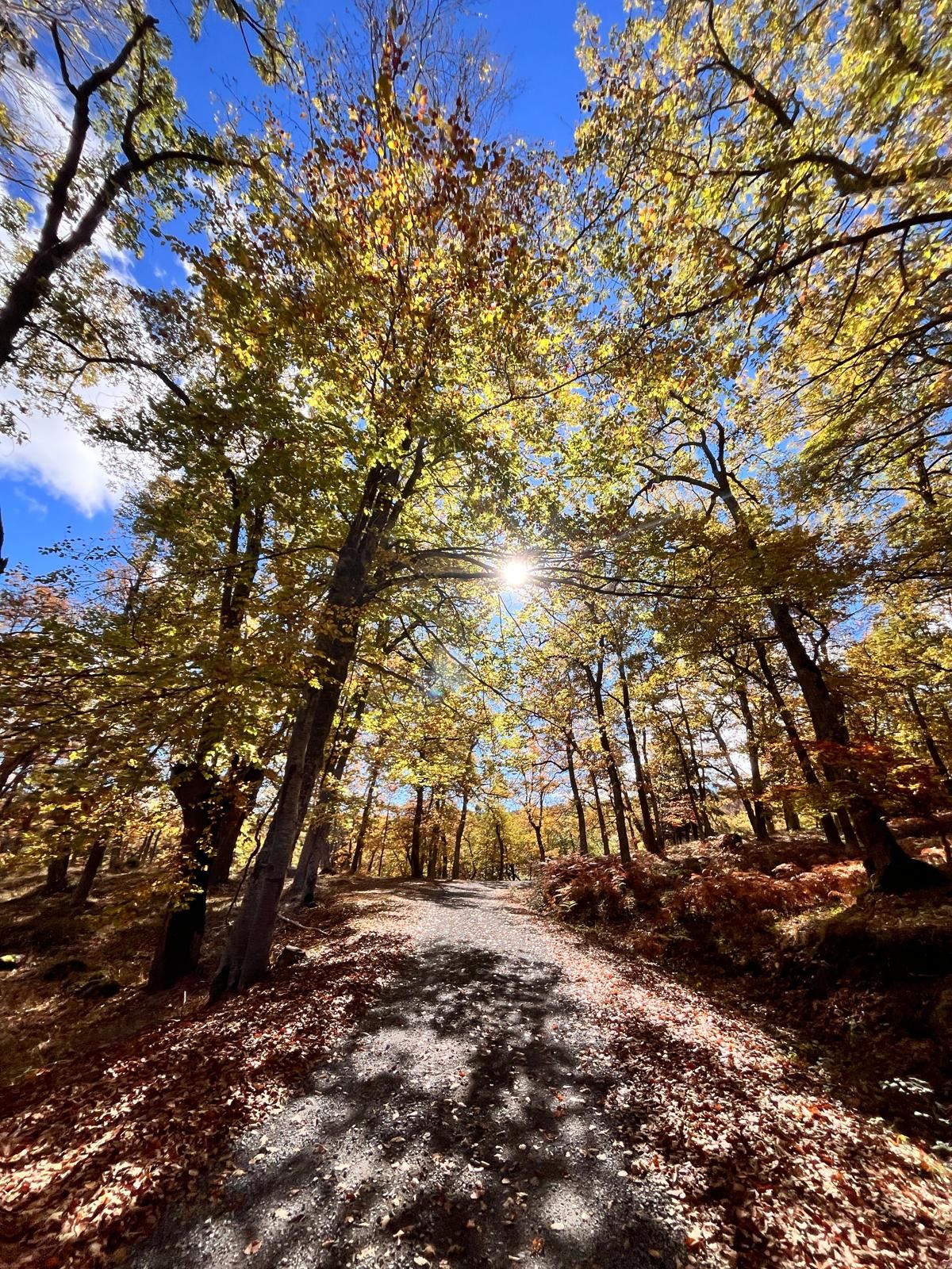 El otoño transforma los paisajes riojanos