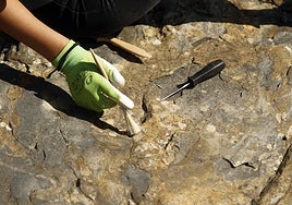 Yacimiento en Enciso.