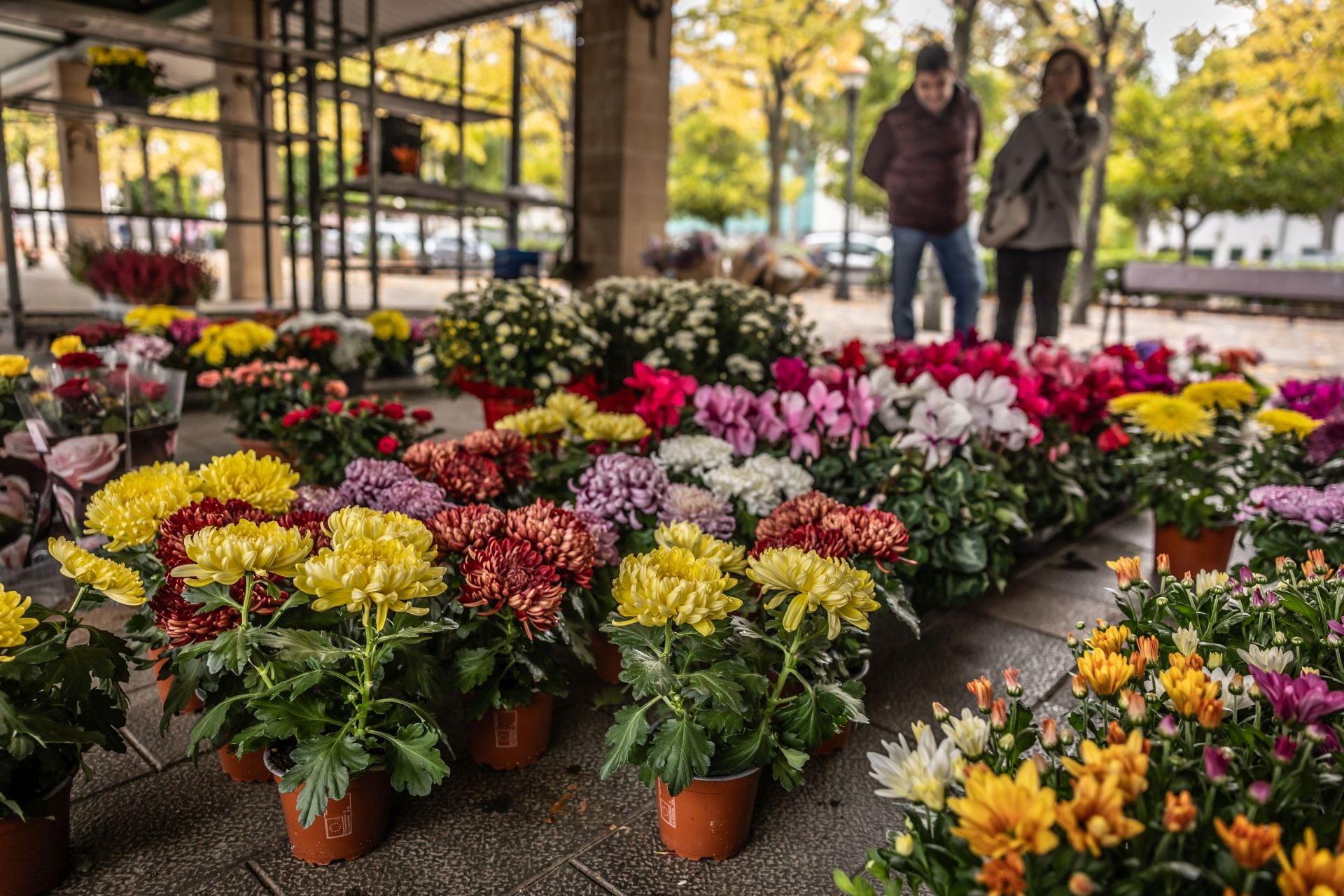 Los logroñeses visitan el tradicional mercado de las flores