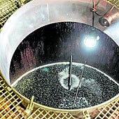 ¿Vinos sin sulfitos?