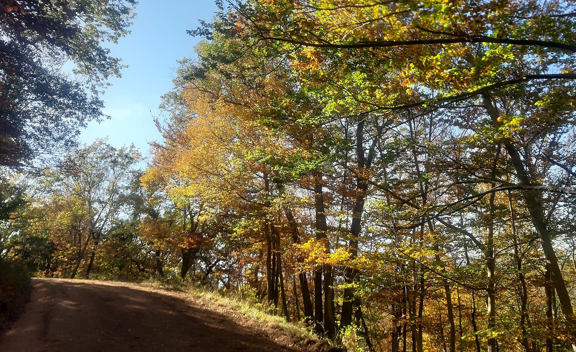 Scroll Story imagen 2