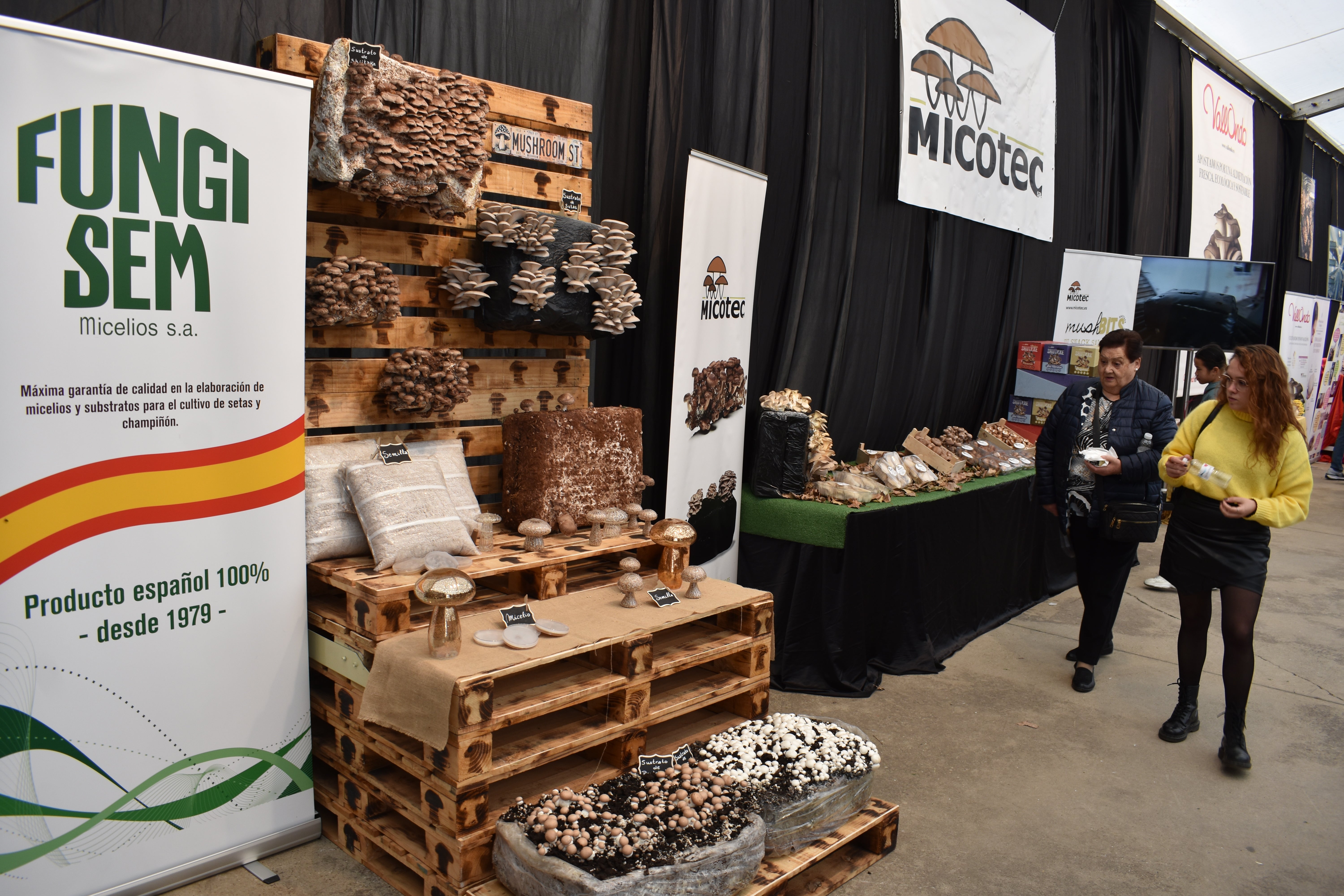 Jornadas de la seta y el champiñón de Autol