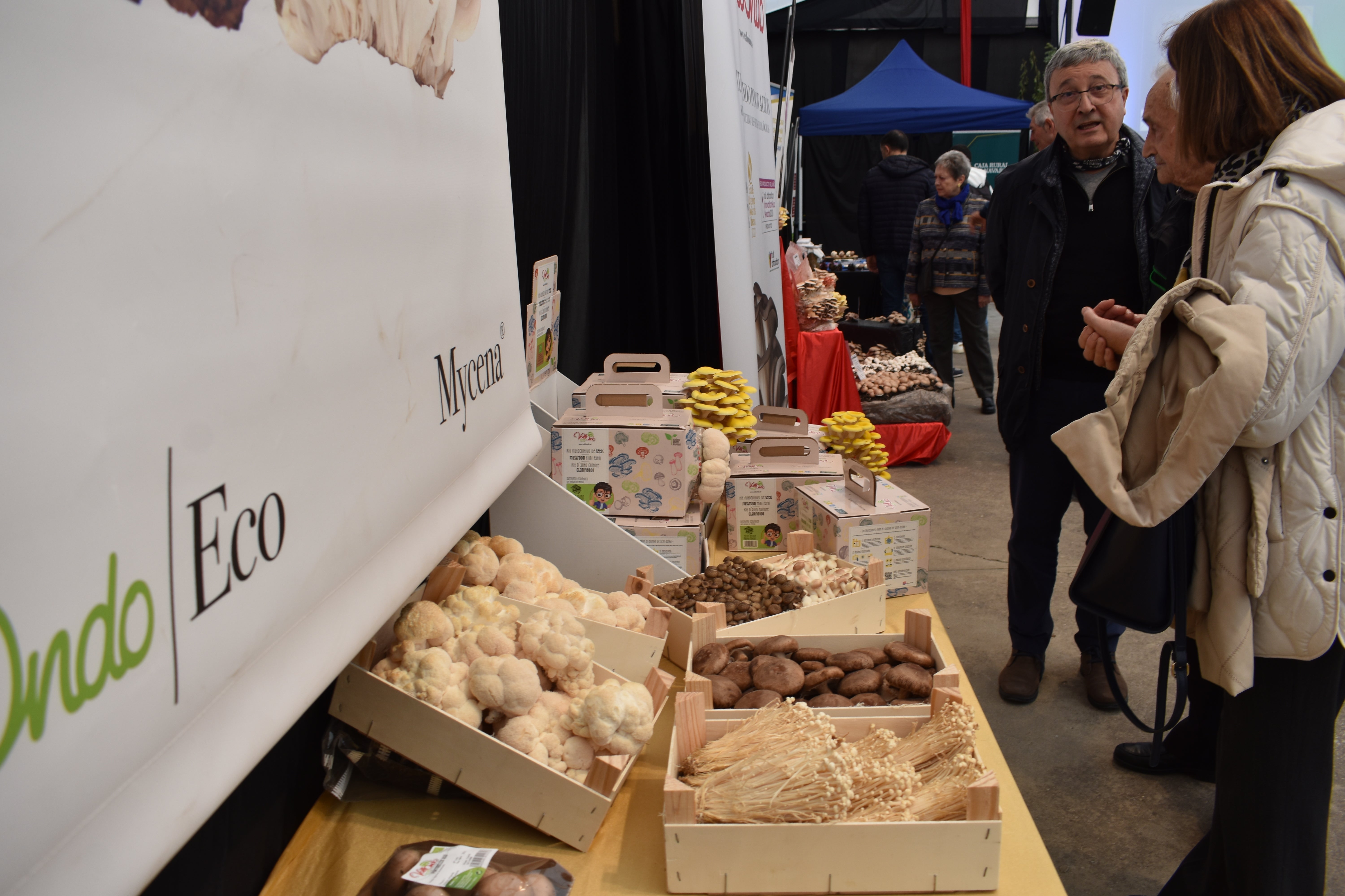 Jornadas de la seta y el champiñón de Autol