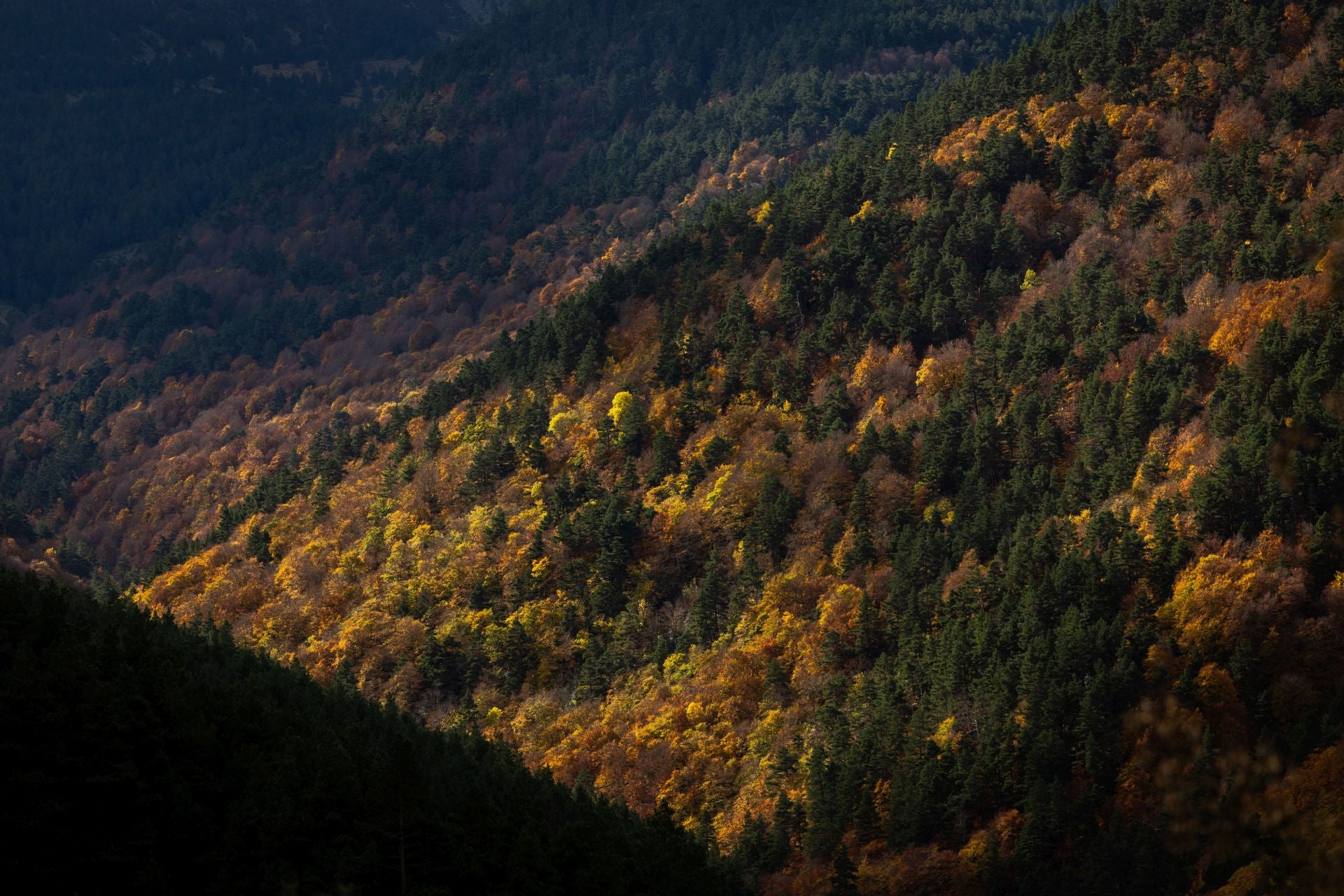 Área recreativa del Achichuelo