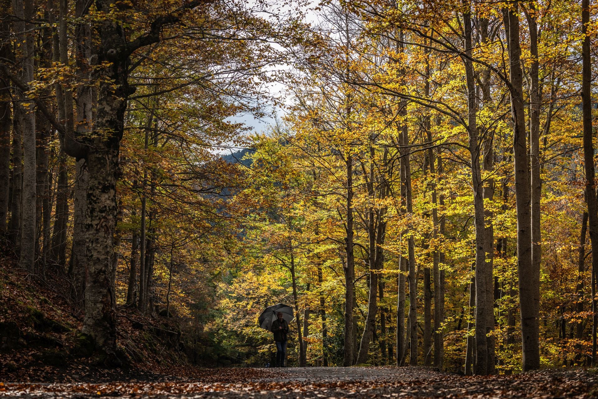 Área recreativa del Achichuelo
