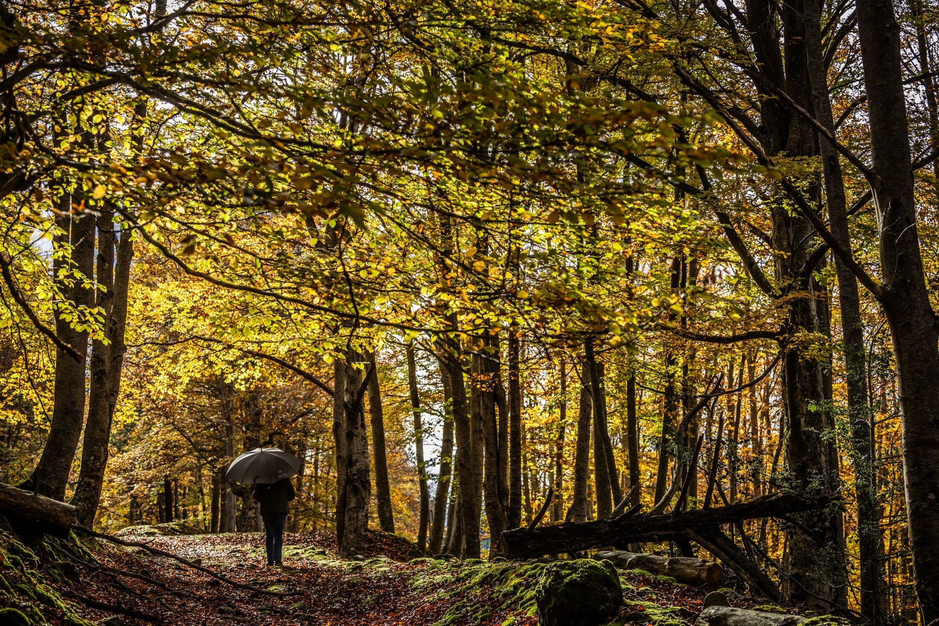 Área recreativa del Achichuelo