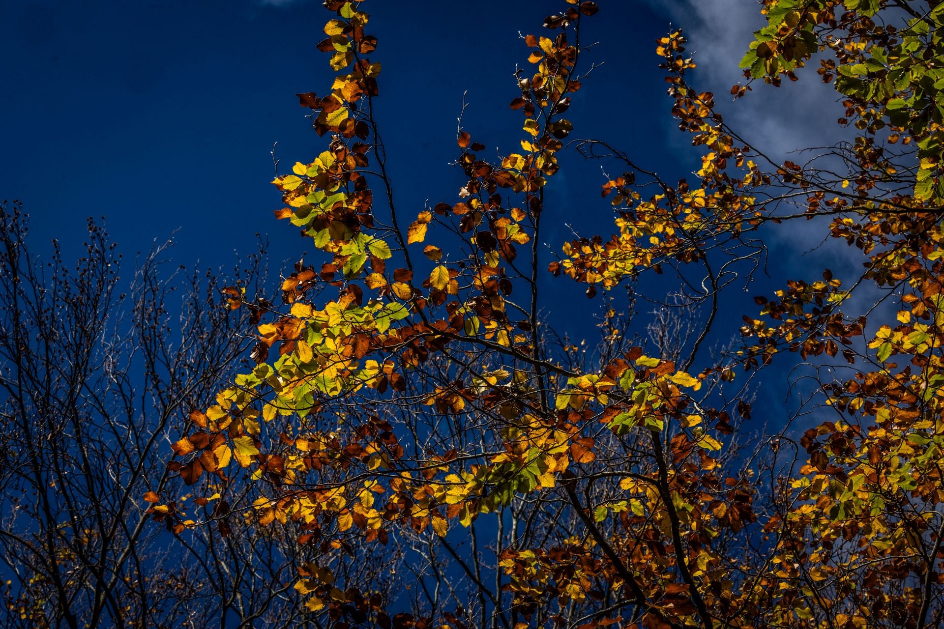 Alrededores de la ermita de la Virgen de Lomos de Orios