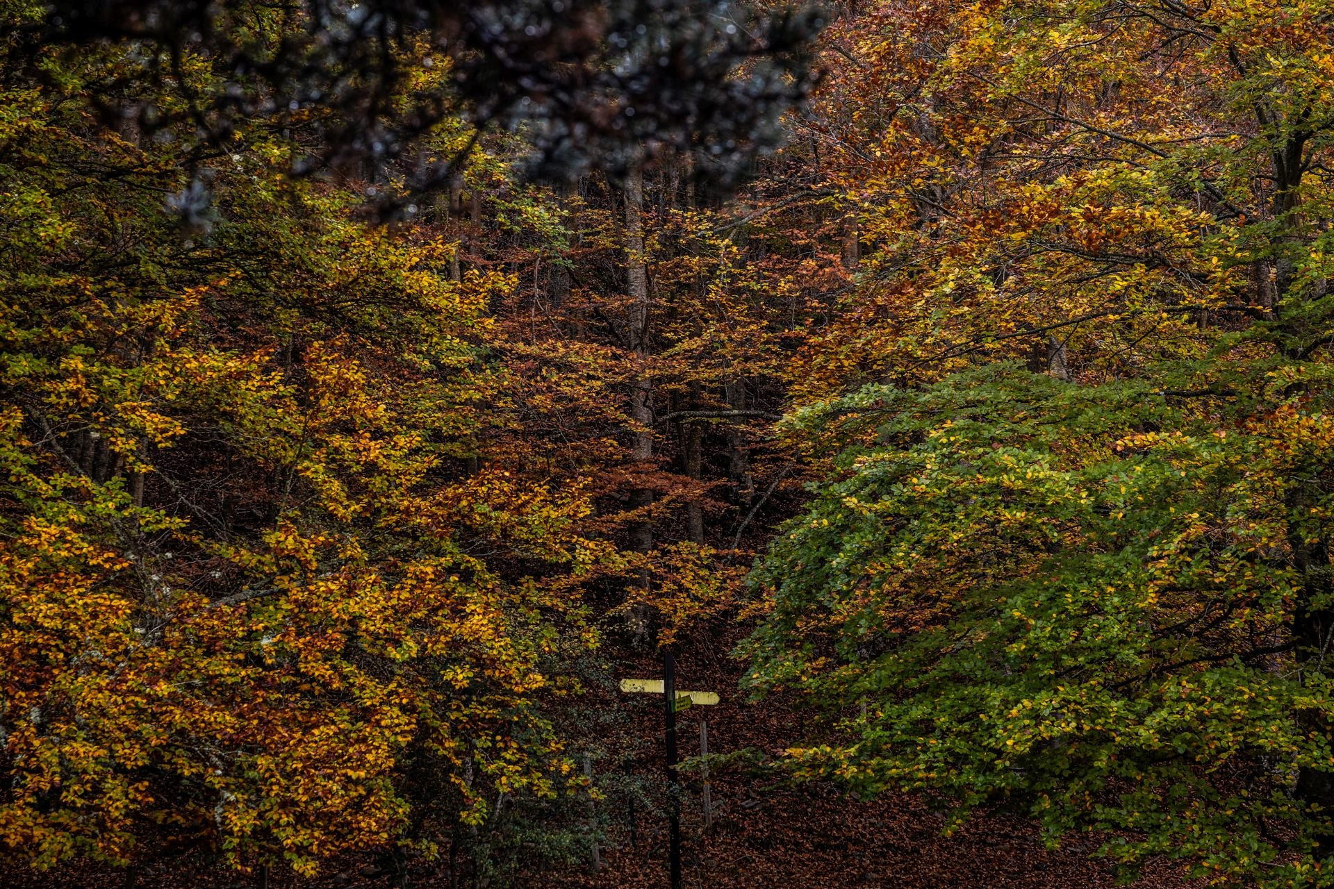 Alrededores de la ermita de la Virgen de Lomos de Orios