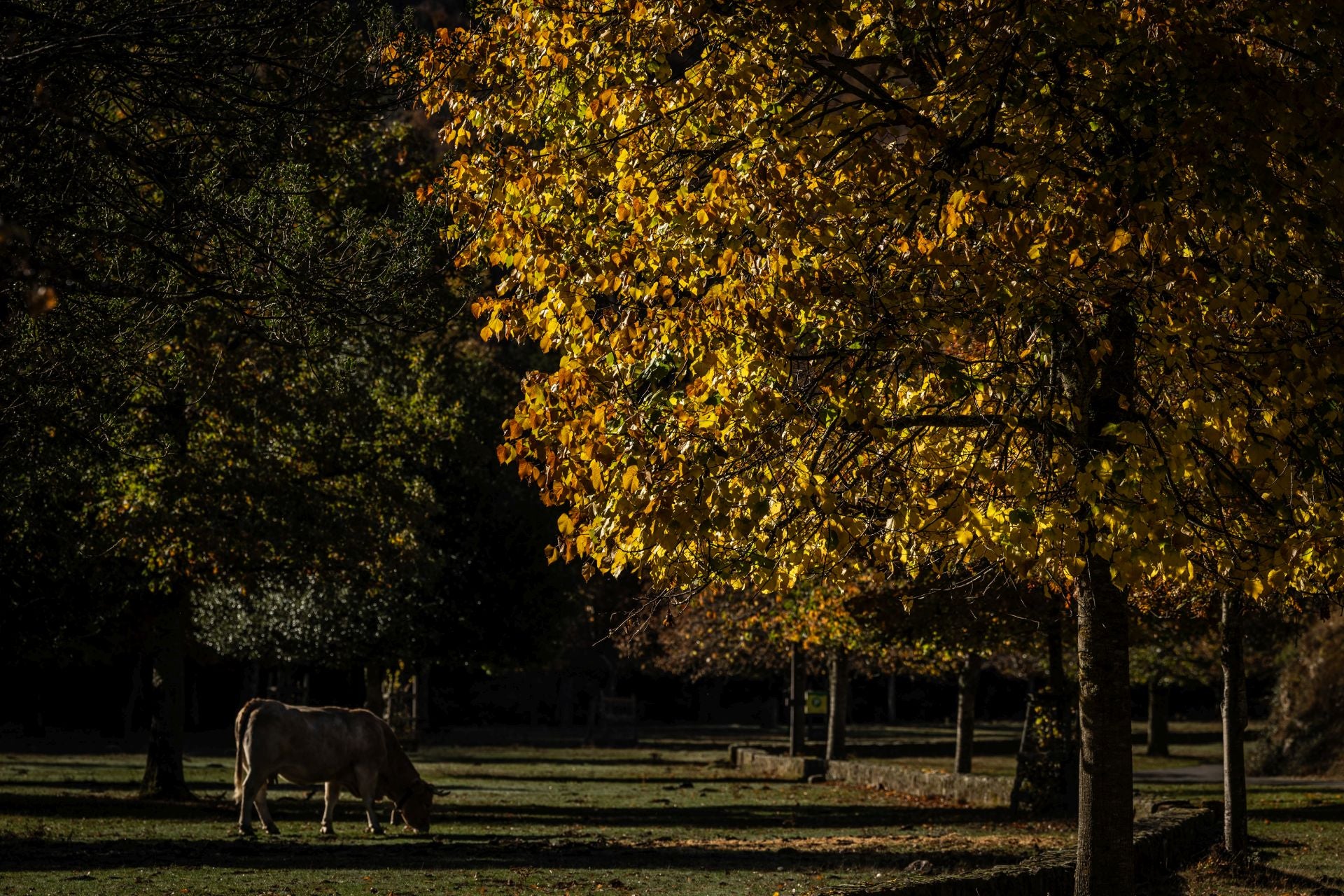 Área recreativa del Achichuelo
