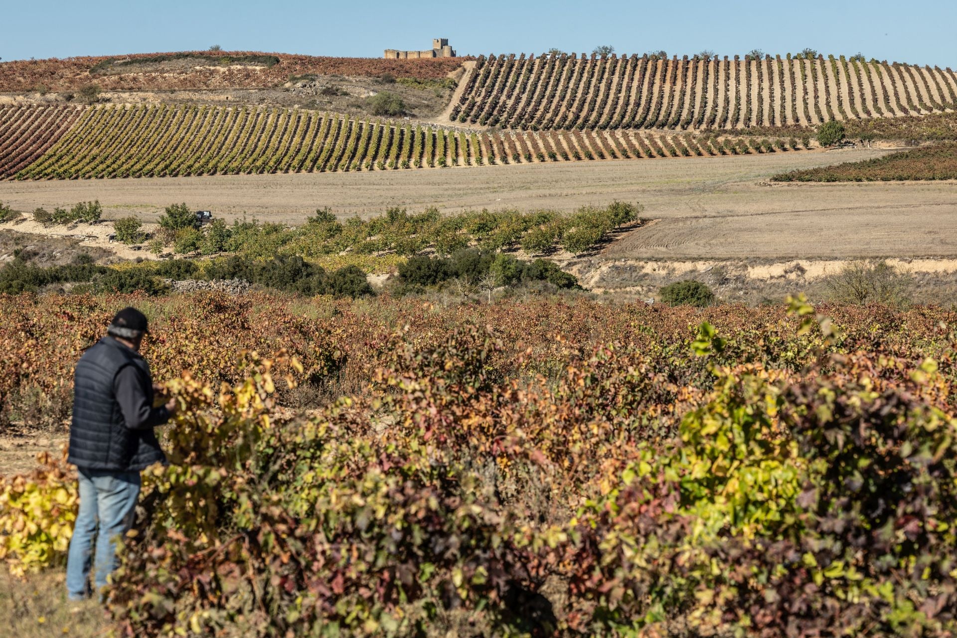 Entorno del castillo de Davalillo, en San Asensio