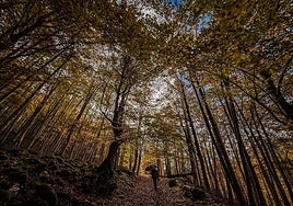 Un hombre pasea por un sendero de las inmediaciones de la ermita de la Virgen de Lomos de Orios en Villoslada de Cameros, dentro del parque natural Sierra de Cebollera.