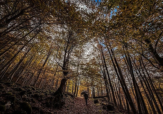 Un hombre pasea por un sendero de las inmediaciones de la ermita de la Virgen de Lomos de Orios en Villoslada de Cameros, dentro del parque natural Sierra de Cebollera.