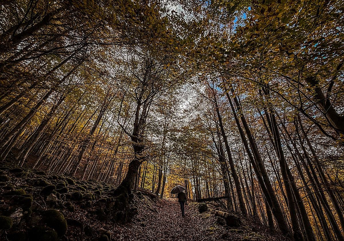 Un hombre pasea por un sendero de las inmediaciones de la ermita de la Virgen de Lomos de Orios en Villoslada de Cameros, dentro del parque natural Sierra de Cebollera.