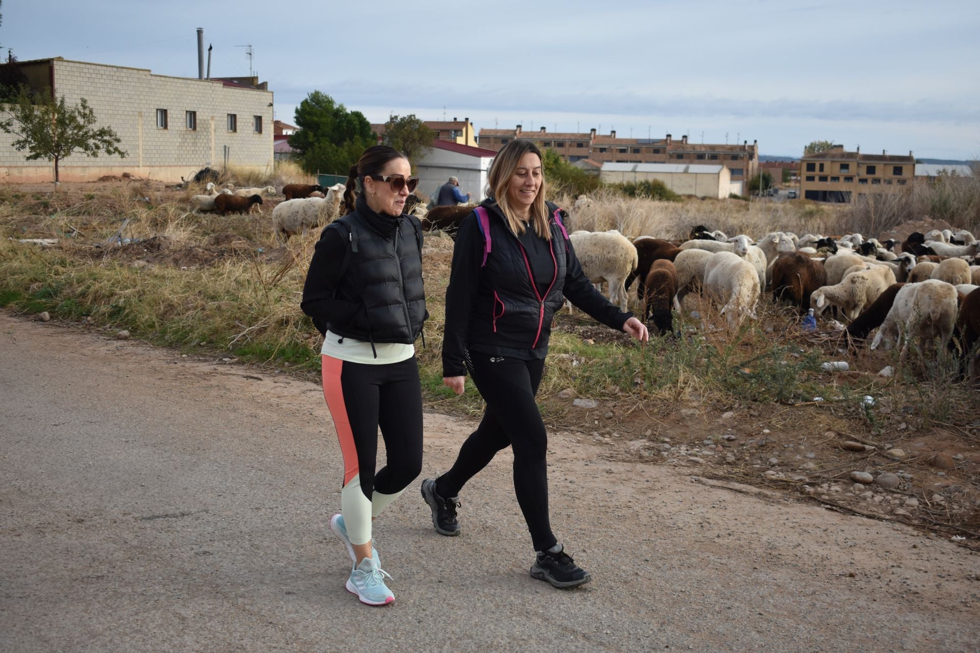Las imágenes de la marcha contra el cáncer en Aldeanueva