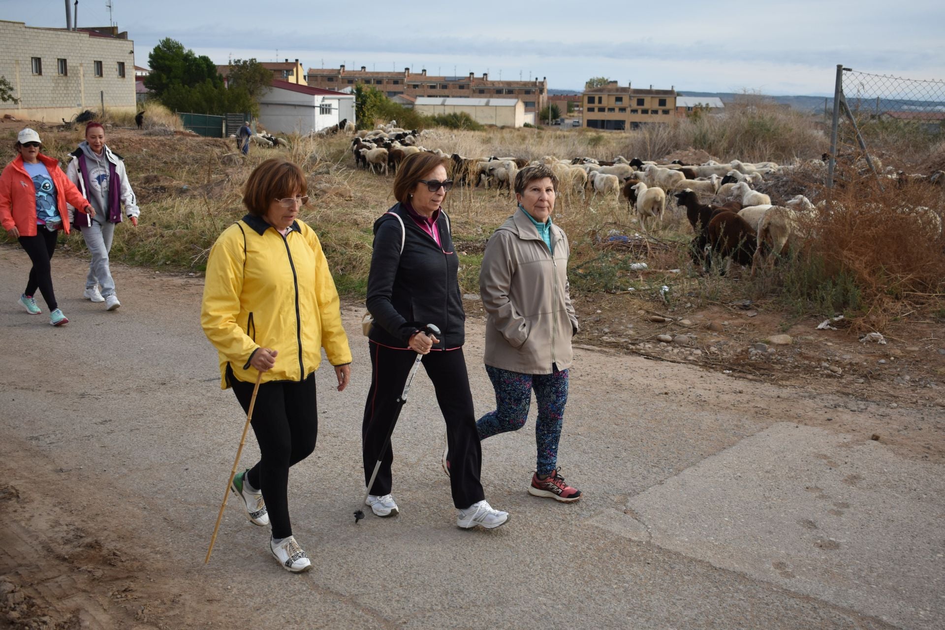 Las imágenes de la marcha contra el cáncer en Aldeanueva