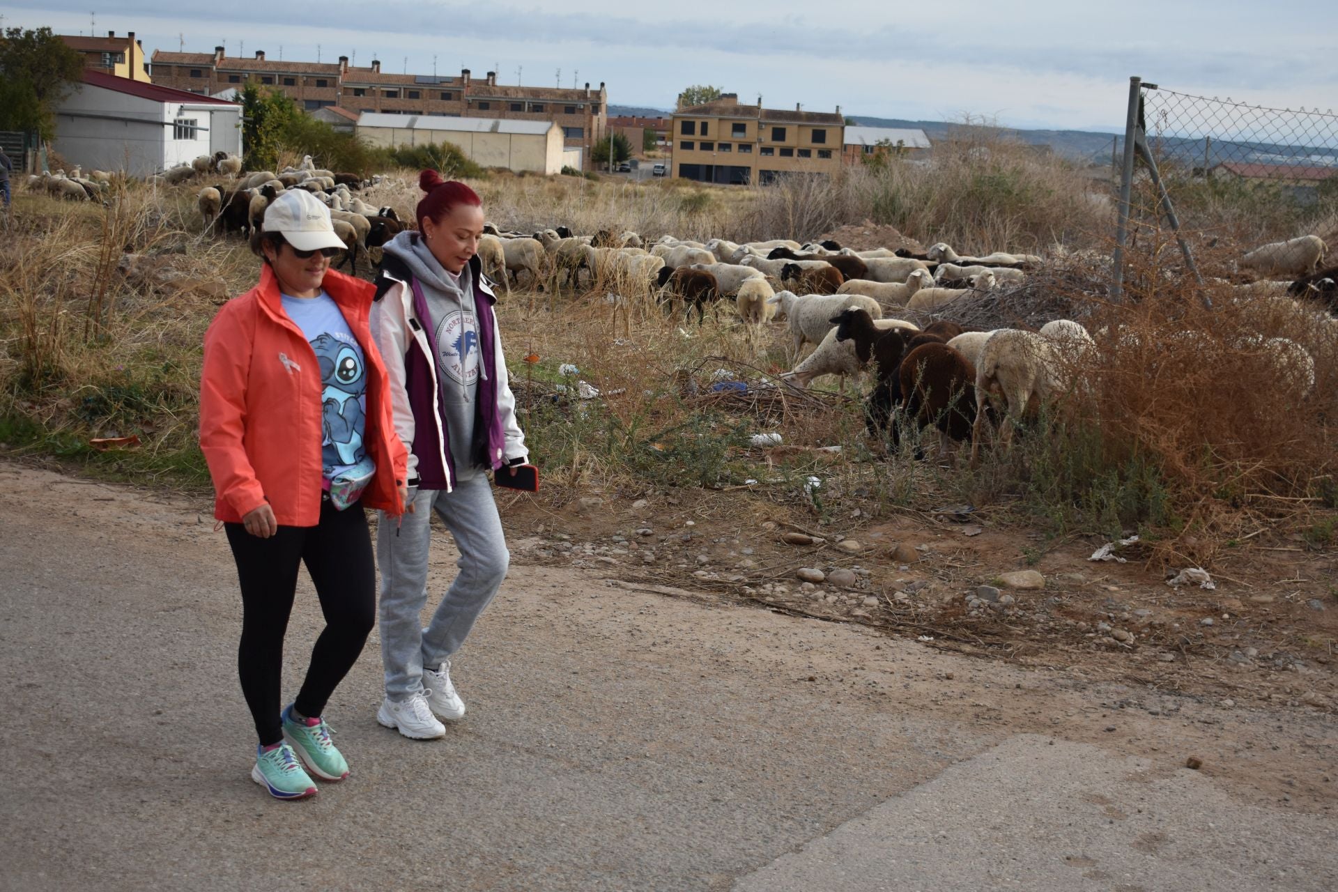 Las imágenes de la marcha contra el cáncer en Aldeanueva